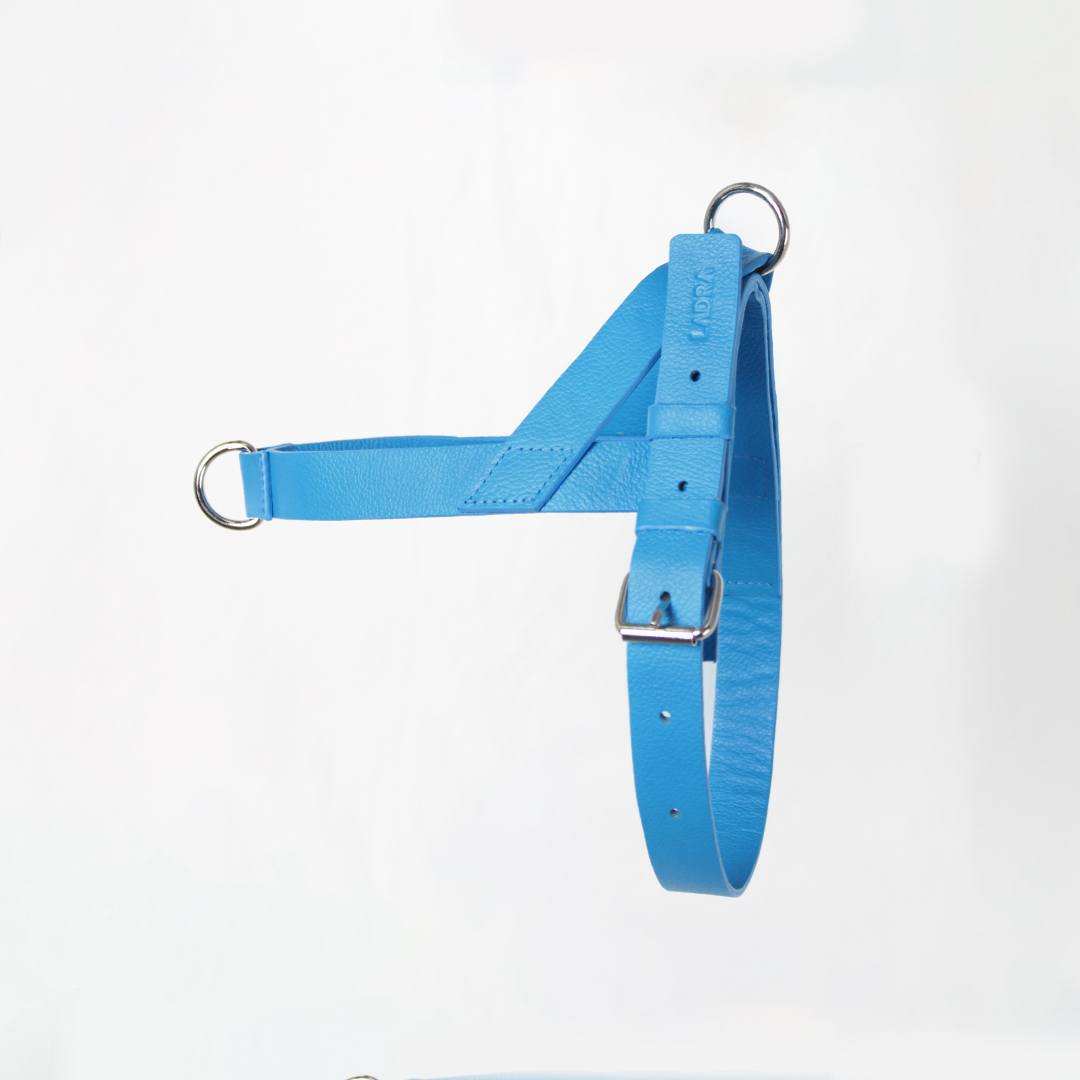 Pechera Para Perro en cuero Azul Rey - Imagen 2