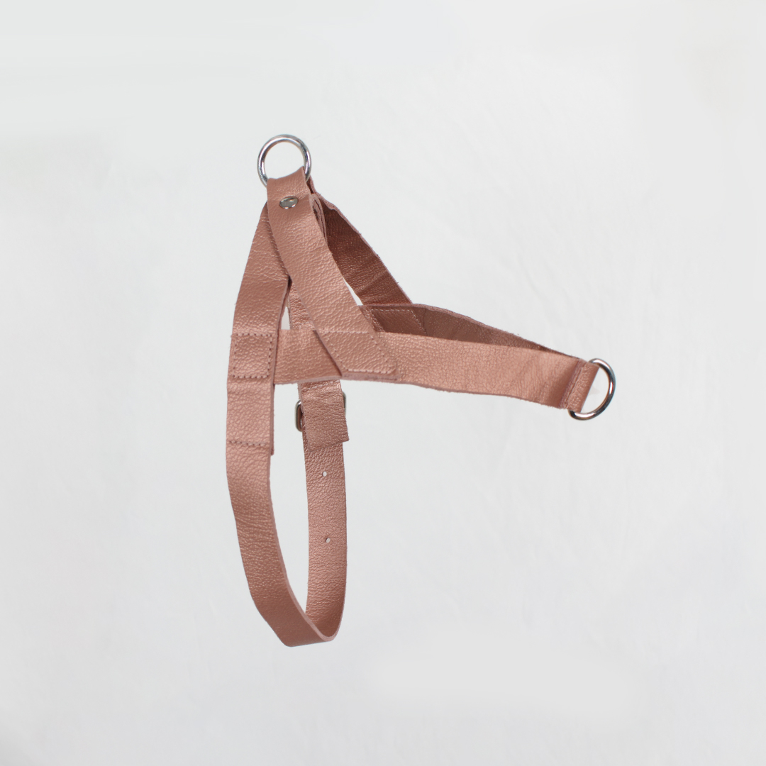 Pechera Para Perro en cuero cobre rosa Brillante - Imagen 3