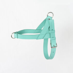 Pechera Para Perro en cuero Turquesa