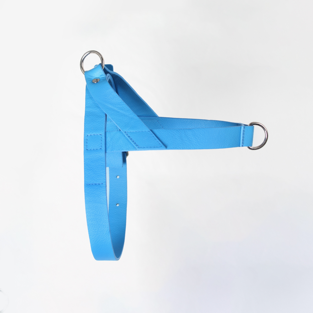 Pechera Para Perro en cuero Azul Rey - Imagen 3