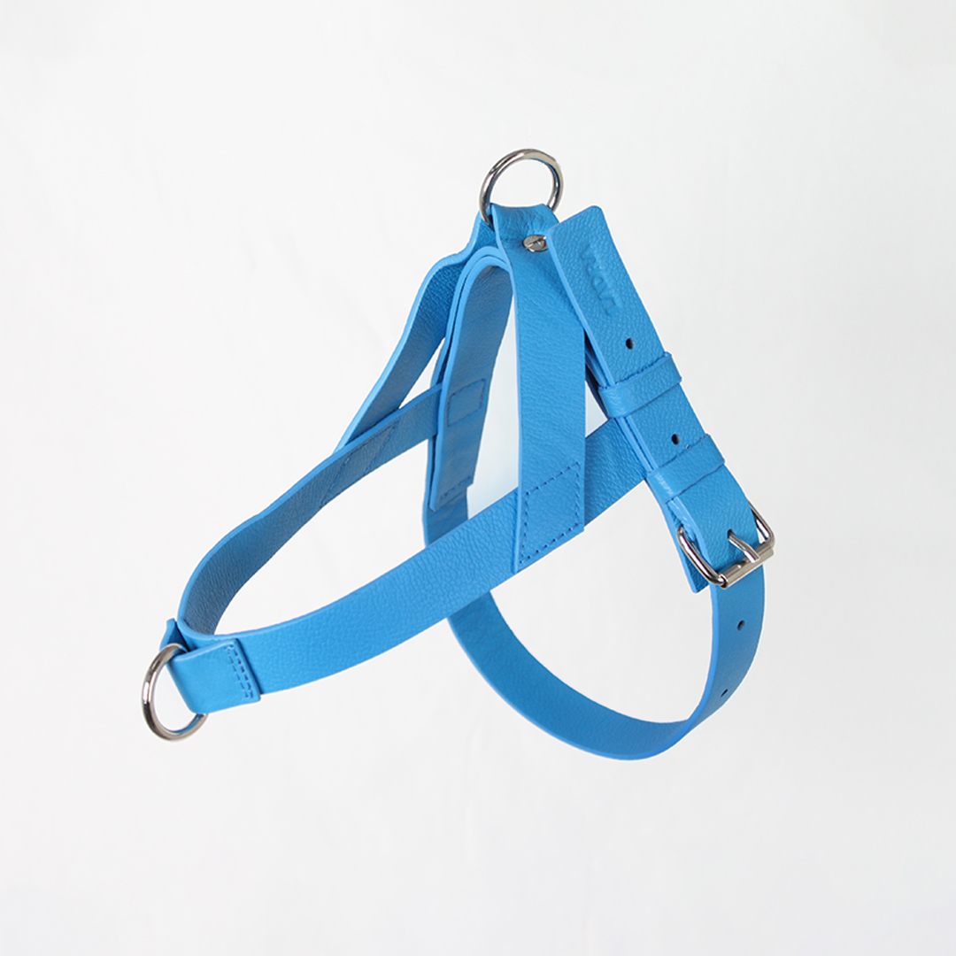 Pechera Para Perro en cuero Azul Rey - Imagen 4