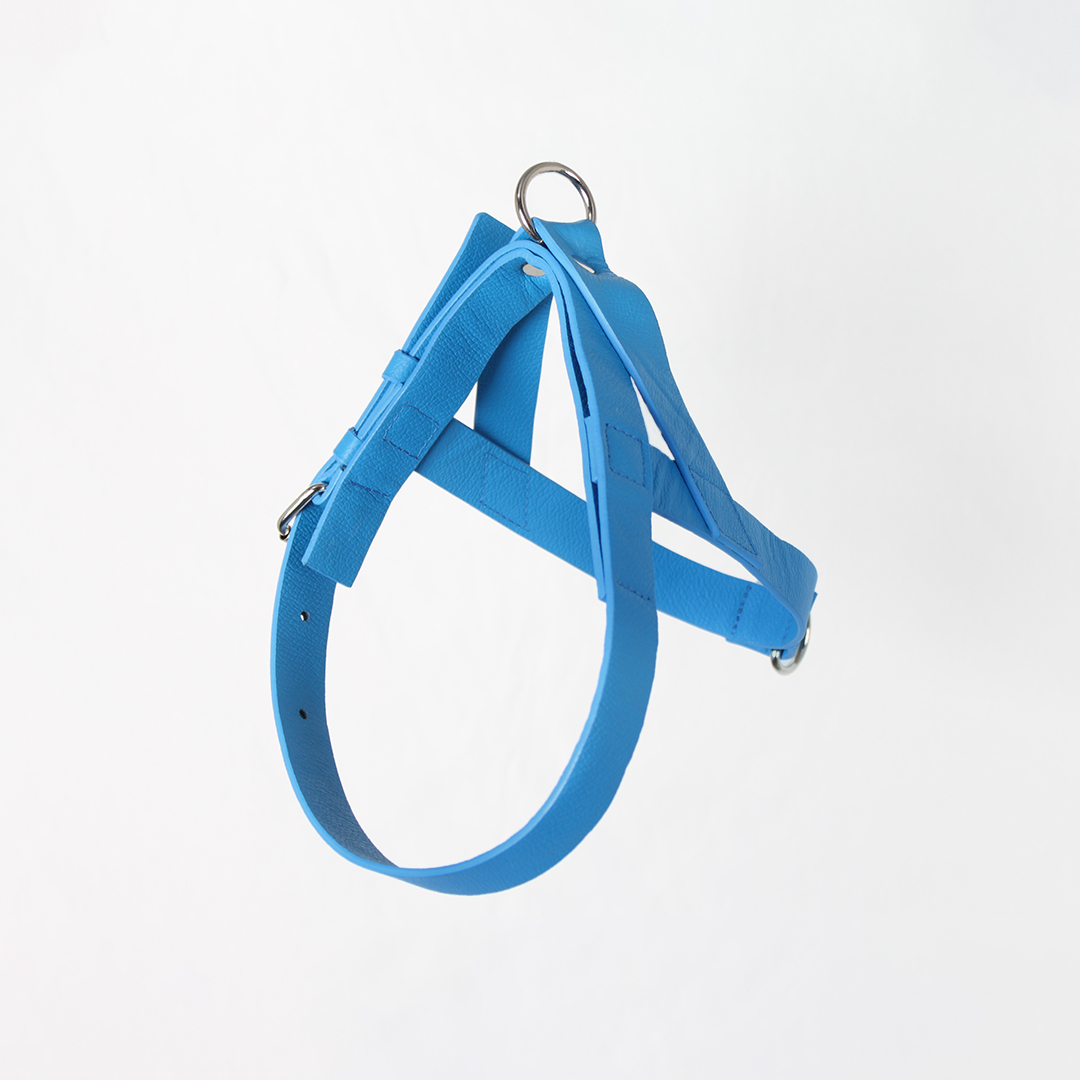 Pechera Para Perro en cuero Azul Rey - Imagen 5