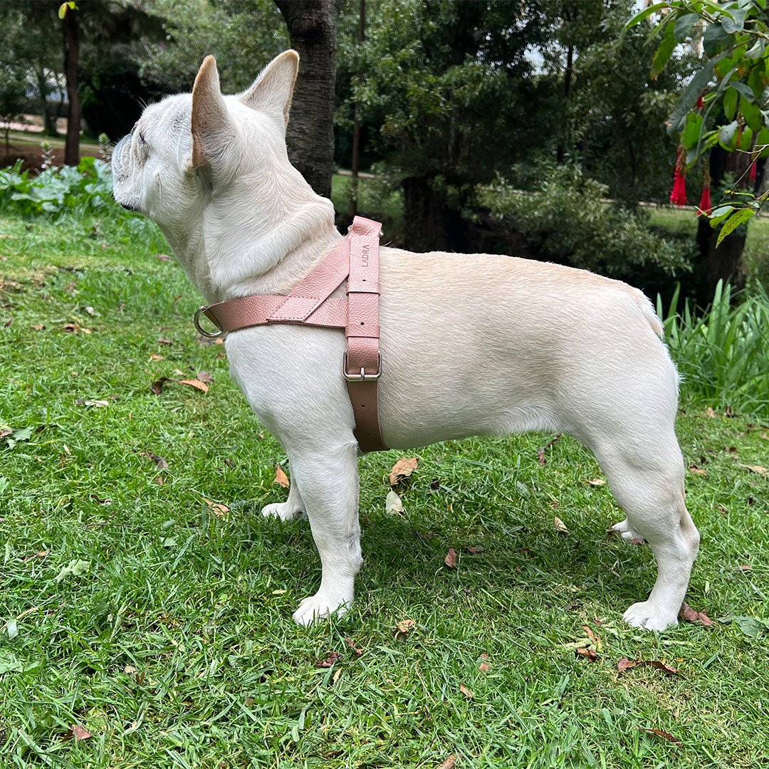 pechera-perro-cuero-cobre-rosa-brillante-ergonomica-ladra