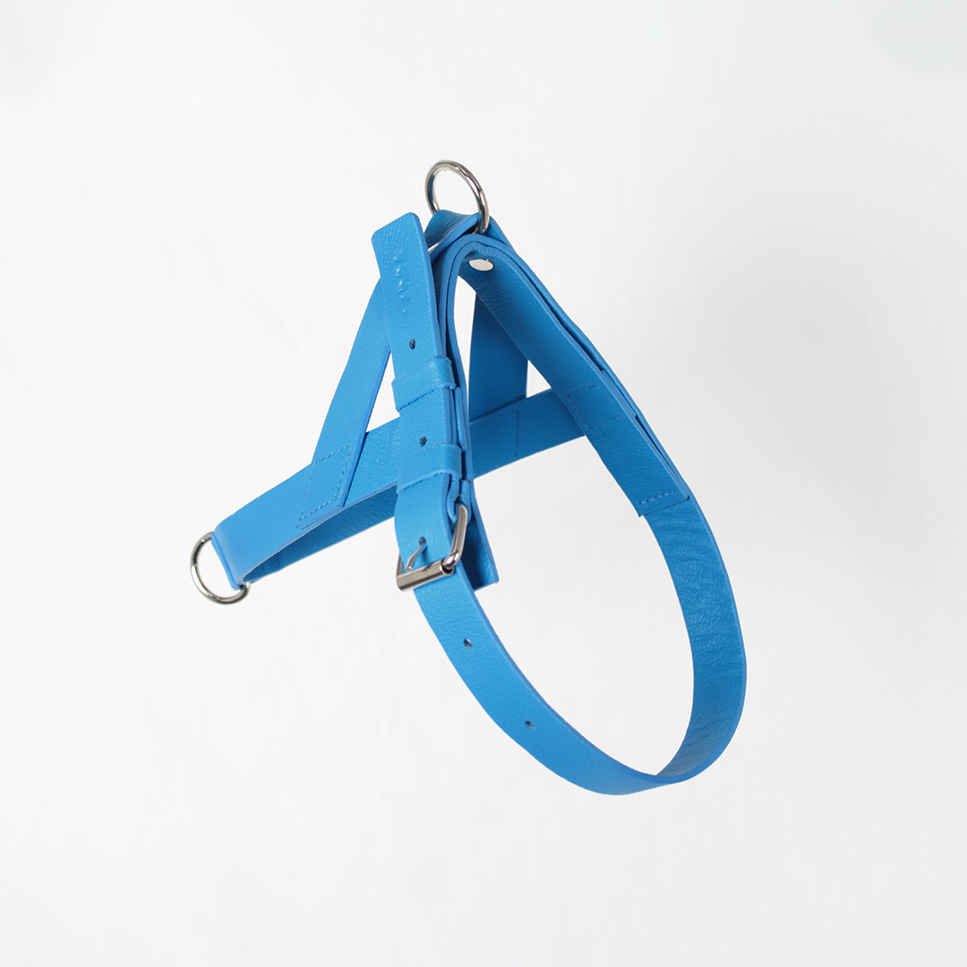 Pechera Para Perro en cuero Azul Rey - Imagen 6