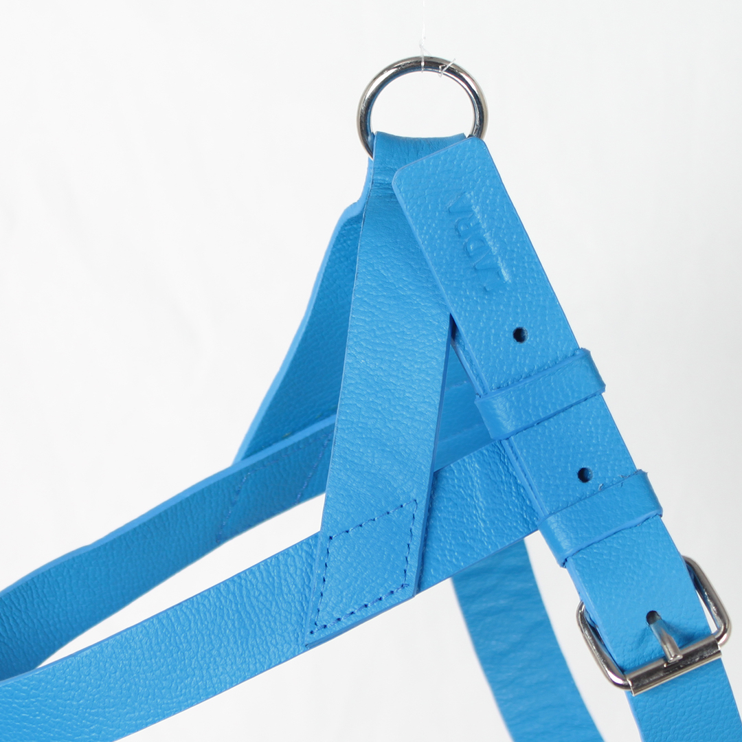 Pechera Para Perro en cuero Azul Rey - Imagen 7